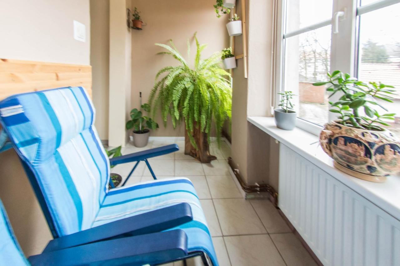 Apartamenty Izerskie - Ul. Wczasowa 8 Świeradów-Zdrój Eksteriør billede